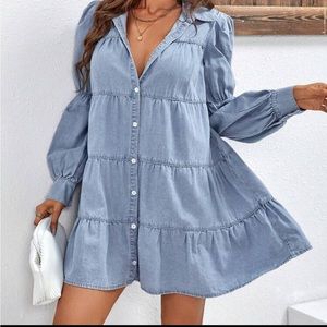 Small never worn cute denim ruffle dress.
